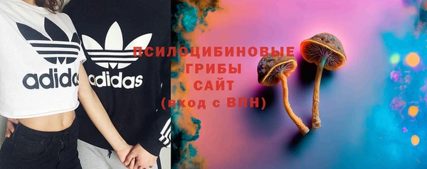 молекула духа Баксан