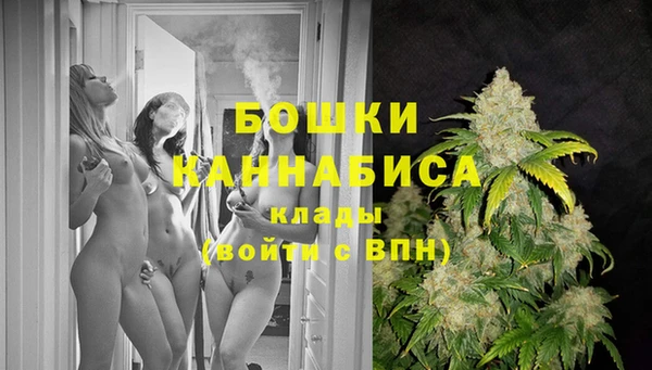 молекула духа Баксан