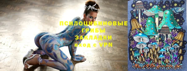 меф Белокуриха
