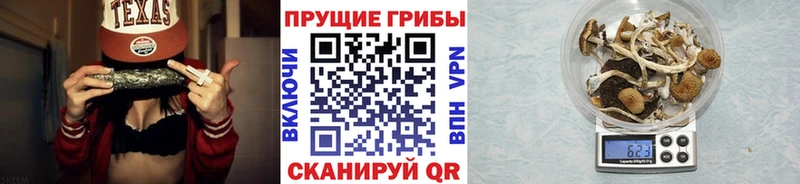 Псилоцибиновые грибы GOLDEN TEACHER  Новый Уренгой 