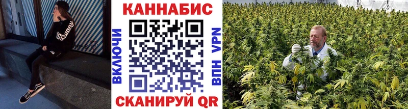 купить   Новый Уренгой  Конопля ГИДРОПОН 